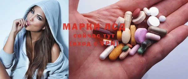 ПСИЛОЦИБИНОВЫЕ ГРИБЫ Иннополис