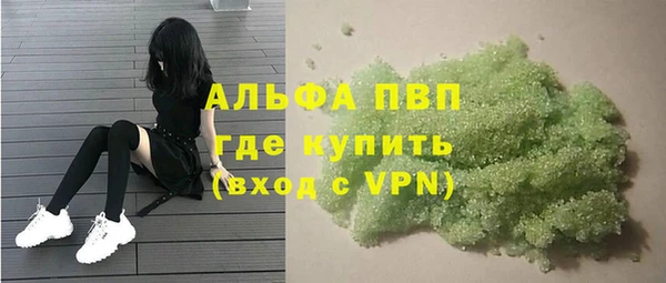 ПСИЛОЦИБИНОВЫЕ ГРИБЫ Иннополис