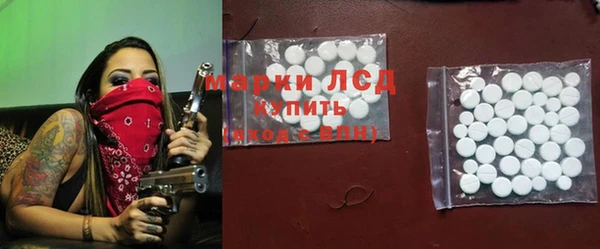 ПСИЛОЦИБИНОВЫЕ ГРИБЫ Иннополис