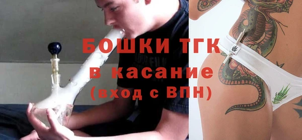 эйфоретик Инсар