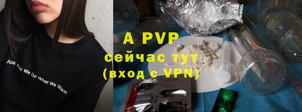 ПСИЛОЦИБИНОВЫЕ ГРИБЫ Иннополис