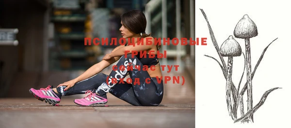 ПСИЛОЦИБИНОВЫЕ ГРИБЫ Иннополис