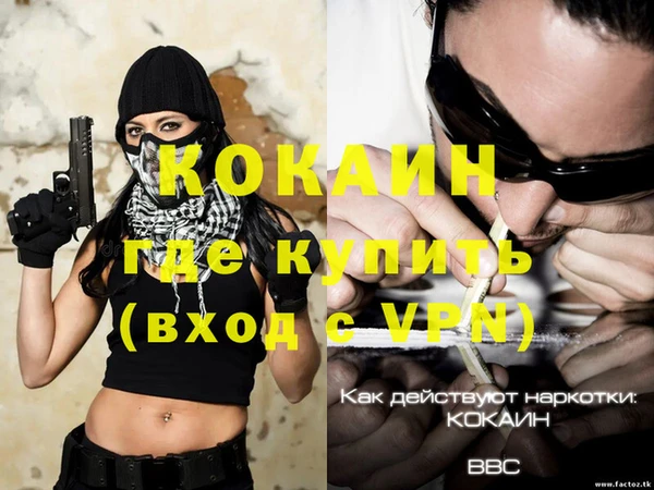 эйфоретик Инсар