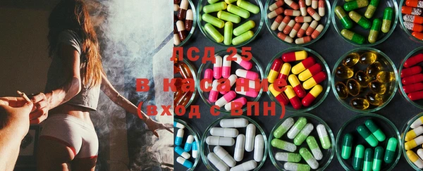 ПСИЛОЦИБИНОВЫЕ ГРИБЫ Иннополис