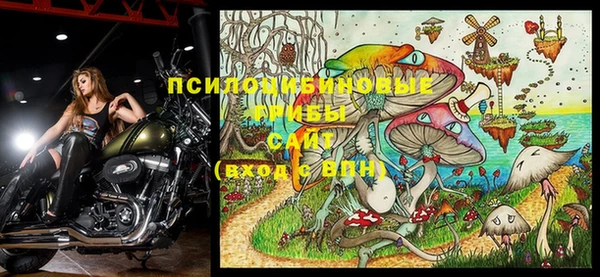 экстази Инта