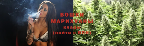 ПСИЛОЦИБИНОВЫЕ ГРИБЫ Иннополис