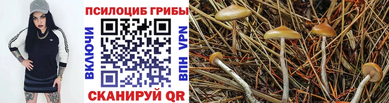 Галлюциногенные грибы GOLDEN TEACHER  Купить закладки  Георгиевск 
